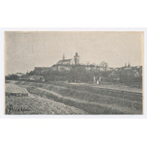 Miechów - widok ogólny (811)