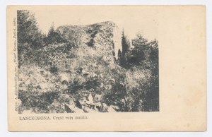 Lanckorona - Castle ruins (827)