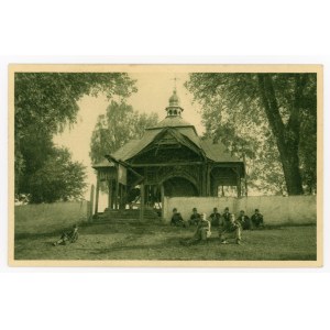 Cats near Zlota Lipa - destroyed church (905)