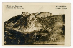 Suceava - zřícenina hradu (922)