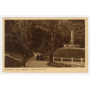 Truskawiec - aleja do Marysi (1014)