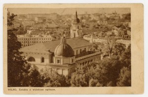Vilnius Cathedral with a general view (1030)