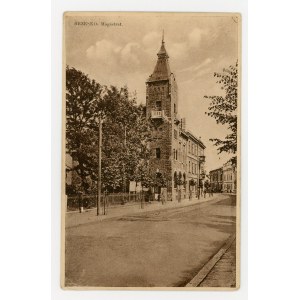 Brzesko - Magistrat (542)