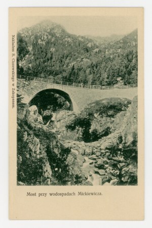 Zakopane - Bridge at Mickiewicz Waterfalls (589)