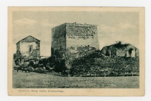 Leczyca - ruins of the royal castle (653)