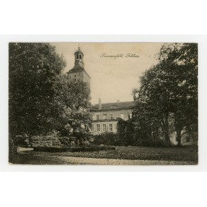 Lubsko - zamek (746)