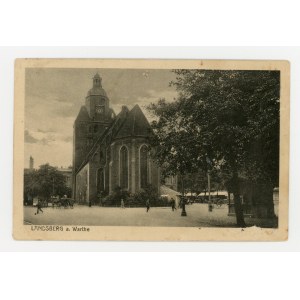 Międzychód nad Wartą - katedra (750)