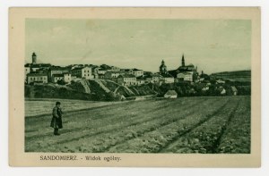 Sandomierz - general view (1353)