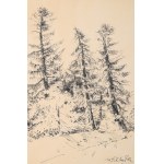 Victor ZIN (1925-2007), Old fir trees.