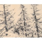 Victor ZIN (1925-2007), Old fir trees.