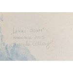 Kamila Cellary (ur. 1988, Warszawa), Lekki szum, 2023