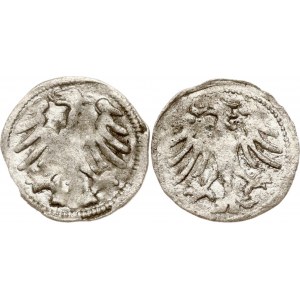 Litauen Denar ND (1501-1506) Vilnius Lot von 2 Münzen