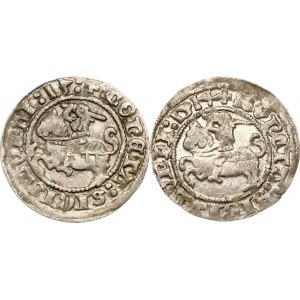 Litauen Polgrosz 1513 &amp; 1514 Vilnius Lot von 2 Münzen