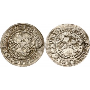 Litauen Polgrosz 1513 &amp; 1514 Vilnius Lot von 2 Münzen