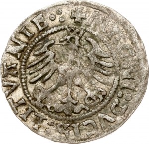 Lituania Polgrosz 1523 Vilnius