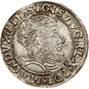 Lituanie Grosz 1555 Vilnius (R5)