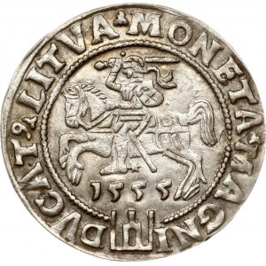 Litauen Grosz 1555 Vilnius (R5)