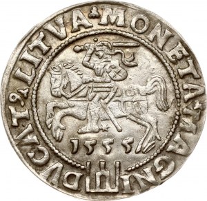 Litauen Grosz 1555 Vilnius (R5)