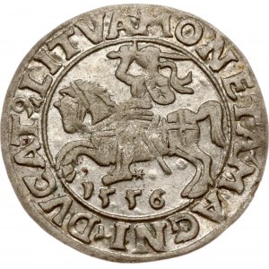 Lituanie Polgrosz 1556 Vilnius (R)