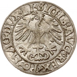 Lituanie Polgrosz 1556 Vilnius (R)