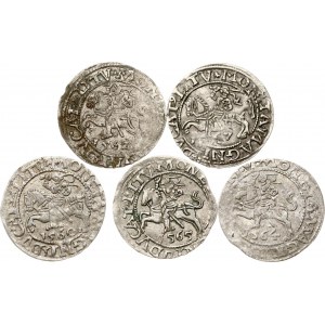 Lituanie Polgrosz 1557-1665 Vilnius Lot de 5 pièces