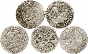 Lithuania Polgrosz 1557-1665 Vilnius Lot of 5 coins