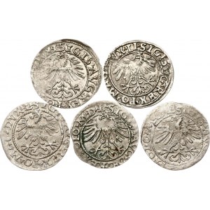 Litwa Polgrosz 1557-1665 Wilno Zestaw 5 monet