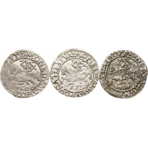 Litwa Polgrosz 1559-1561 Wilno Zestaw 3 monet