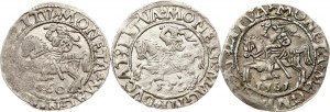 Litauen Polgrosz 1559-1561 Vilnius Lot von 3 Münzen