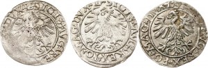 Litauen Polgrosz 1559-1561 Vilnius Lot von 3 Münzen