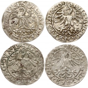 Litva Polgrosz 1560-1565 Vilnius Lot of 4 coins