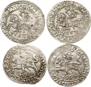 Litauen Polgrosz 1562 & 1564 Vilnius Lot von 4 Münzen