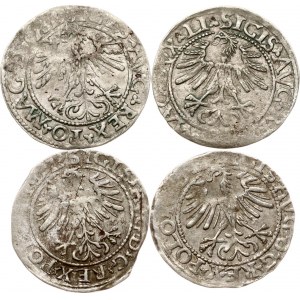 Litauen Polgrosz 1562 &amp; 1564 Vilnius Lot von 4 Münzen