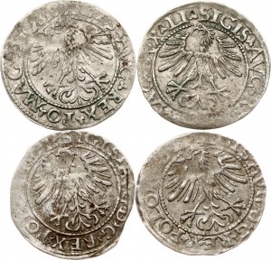 Litwa Polgrosz 1562 i 1564 Wilno Zestaw 4 monet