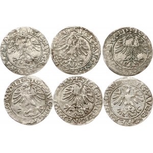 Lituanie Polgrosz 1562 &amp; 1564 Vilnius Lot de 6 pièces
