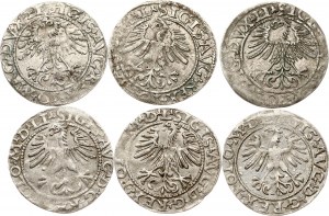 Litwa Polgrosz 1562 i 1564 Wilno Zestaw 6 monet