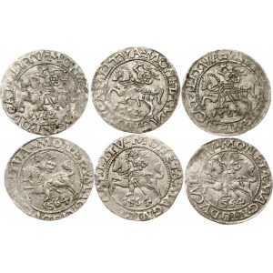 Litwa Polgrosz 1562 i 1564 Wilno Zestaw 6 monet