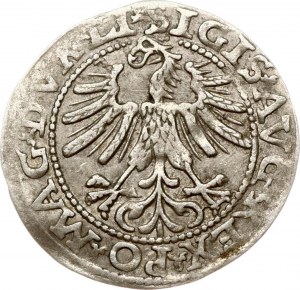 Lituanie Polgrosz 1563 Vilnius