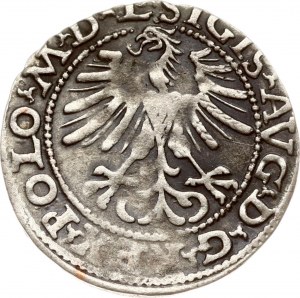 Lituanie Polgrosz 1564 Vilnius