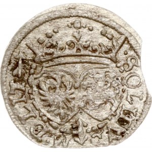 Litwa Szeląg 1617 Wilno (RR)