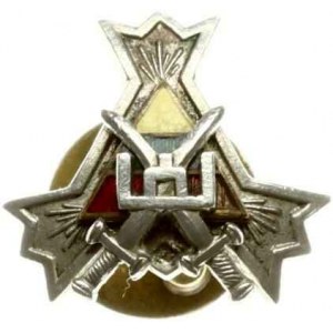 Miniatúrny odznak Dobrovoľníckeho zväzu litovských ozbrojených síl 1927
