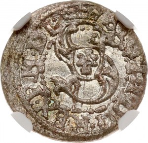 Polska Szeląg 1616 Ryga (R) NGC MS 61