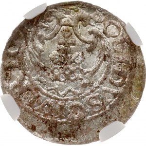 Polska Szeląg 1616 Ryga (R) NGC MS 61