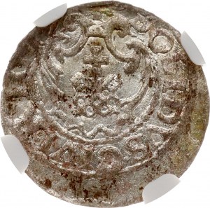 Polonia Szelag 1616 Riga (R) NGC MS 61