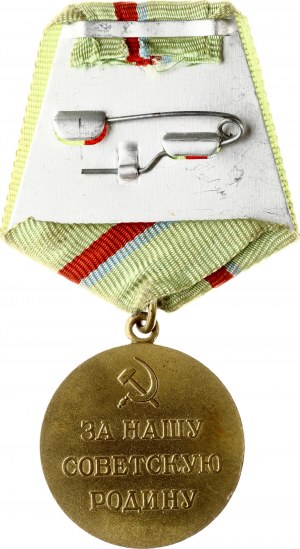 Russia USSR Medal For the Defense of Kyiv