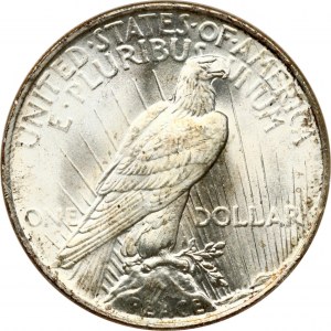 Americký dolár mieru 1924 NGC MS 64