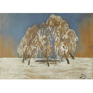 Julian Fałat (1853-1929), Zima w Bystrej