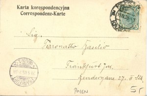 Mogiła Tadeusza Kościuszki, 1905
