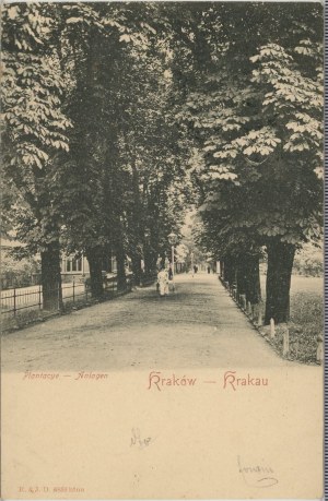 Plantacye, 1902