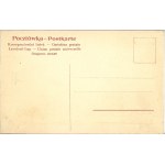 Litografia, Nowy Szpital Jubileuszowy im. Cesarza Franciszka Józefa Bonifratów, od ogrodu, 1908